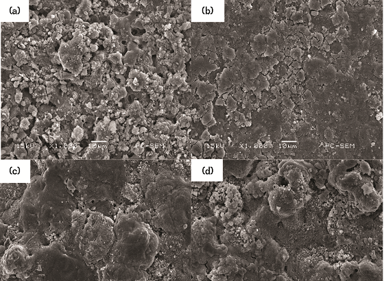 FIGURE 4 Morphologies of corrosion attack of AA7050 MAO coating in 3.5 wt% NaCl solution at different CDs: (a) 3 A/dm<sup>2</sup>, (b) 5 A/dm<sup>2</sup>, (c) 7 A/dm<sup>2</sup>, and (d) 10 A/dm<sup>2</sup> for 120 h. 