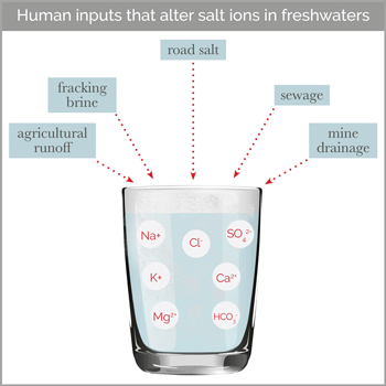 The researchers explain that many different human activities can increase salt pollution in drinking water. Image courtesy of Cary Institute of Ecosystem Studies.