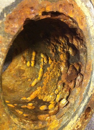 Evidence of MIC and pitting attack in carbon steel piping from a closed drain system. Photo by Torben Lund Skovhus. 