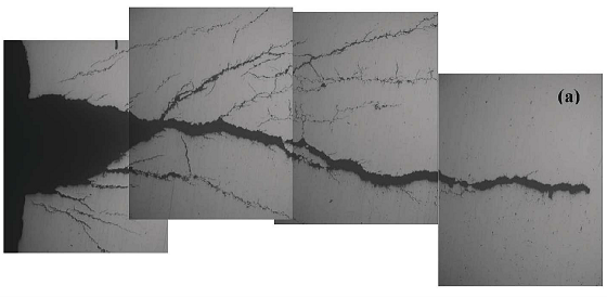 FIGURE 4: The SCC crack morphology of Segment No. 441 tubing. 