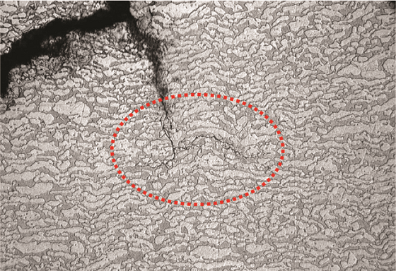 Fig. 4 Higher magnification SEM image showing branching of the transgranular crack on the heat exchanger tube