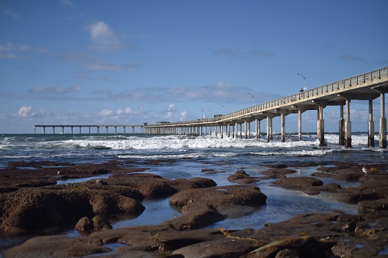 The historic Ocean Beach Pier and tide pools.