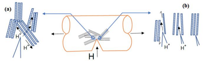 FIGURE 2 Micromechanical model of HE in steels with intermediate degree of CD: (a) hydrogen diffusion in the pearlite microstructure and trans-lamellar fracture path by TTS; (b) fracture by HEDE, adapted from 9.