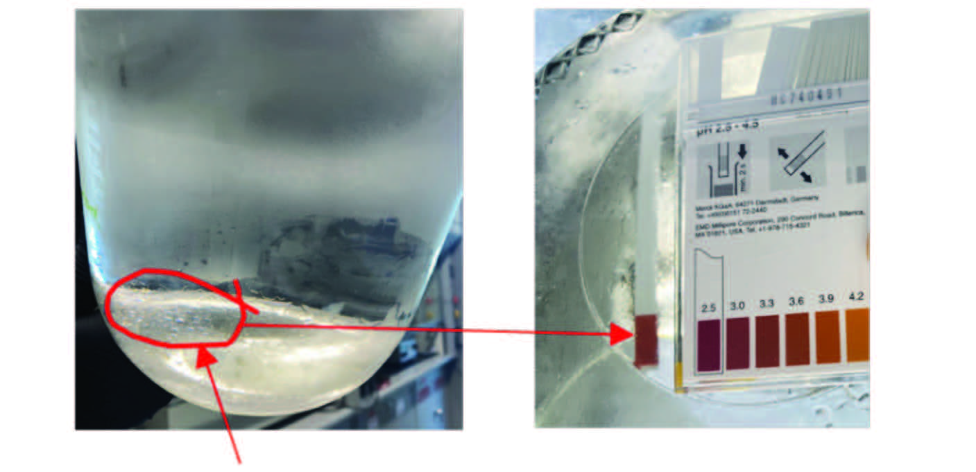 FIGURE 3 Measured pH of water nucleated from naphtha containing acetic acid.