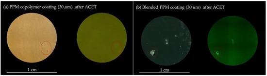 FIGURE 3 Optical microscopy images of the surface of (a) 30 μm PPM copolymer and (b) 30 μm blended PPM coating after exposition to the ACET under visible light (left) and under UV light at 254 nm (right). Macroscopic localized corrosion of the AA2024 substrate is marked with red circles.