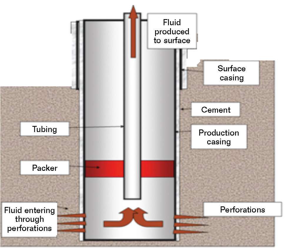 FIGURE 1:  Diagram of a hydrocarbon well downhole, which shows the casing and production tubing.