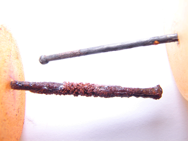 A nail after one month of exposure to Detroit water (top), and to Flint River water with no inhibitor (bottom). Each nail was rinsed in flowing water before taking the picture. Photo credit: Flintwaterstudy.org.  
