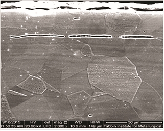 FIGURE 4: A SEM image near a damage zone shows few remaining deformation bands (white wavy lines) and elongated inclusions (dark areas) in the austenitic structure.