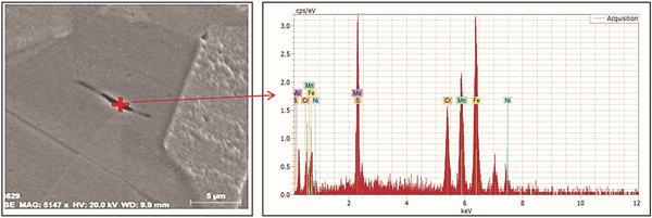 FIGURE 5: SEM and EDS spot analysis of the elongated inclusions.