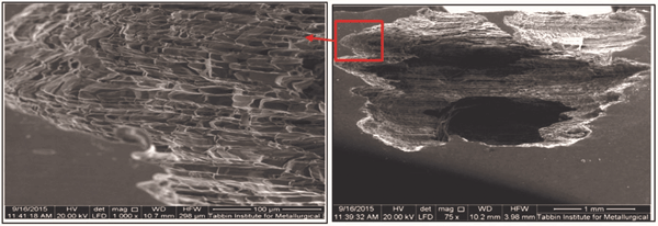 FIGURE 6: SEM images of the cross section of the nonperforated damage zone, where corrosion damage propagated along shear bands in the rolling direction of the pipe plates.